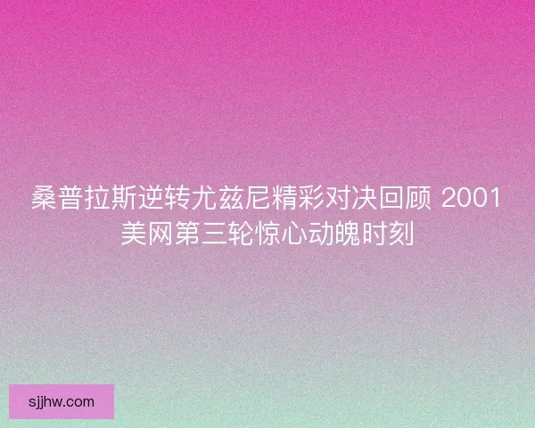 桑普拉斯逆转尤兹尼精彩对决回顾 2001美网第三轮惊心动魄时刻