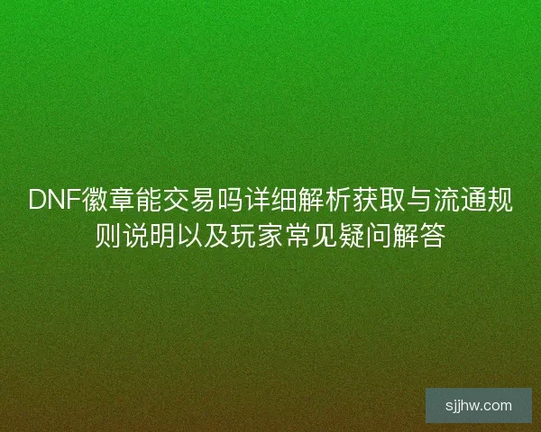 DNF徽章能交易吗详细解析获取与流通规则说明以及玩家常见疑问解答