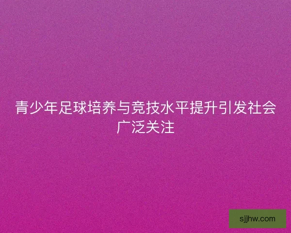青少年足球培养与竞技水平提升引发社会广泛关注