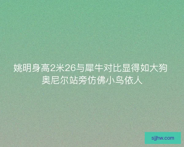 姚明身高2米26与犀牛对比显得如大狗 奥尼尔站旁仿佛小鸟依人 姚明身高2米26与犀牛对比显得如大狗 奥尼尔站旁仿佛小鸟依人