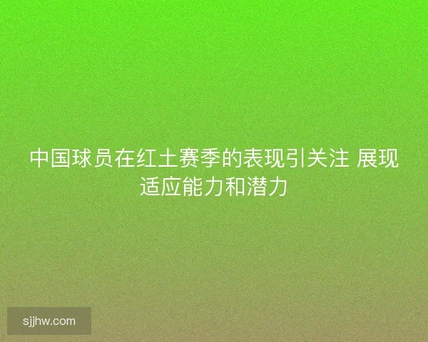 中国球员在红土赛季的表现引关注 展现适应能力和潜力
