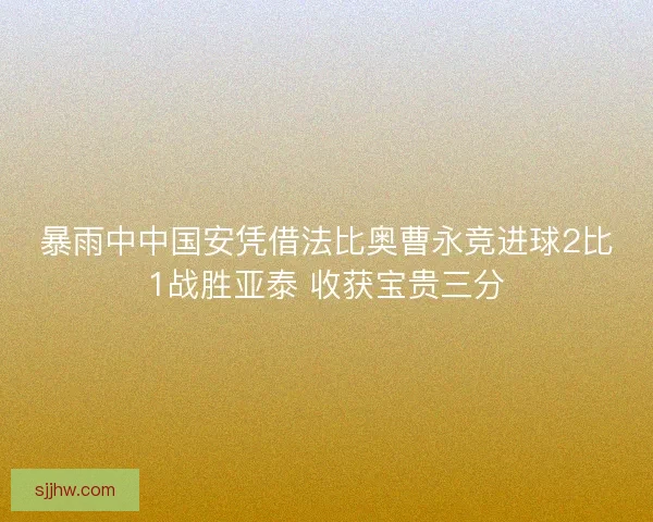 暴雨中中国安凭借法比奥曹永竞进球2比1战胜亚泰 收获宝贵三分 暴雨中中国安凭借法比奥曹永竞进球2比1战胜亚泰 收获宝贵三分