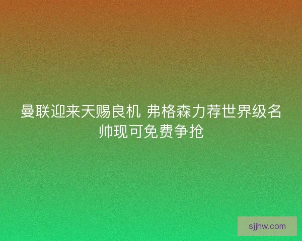 曼联迎来天赐良机 弗格森力荐世界级名帅现可免费争抢